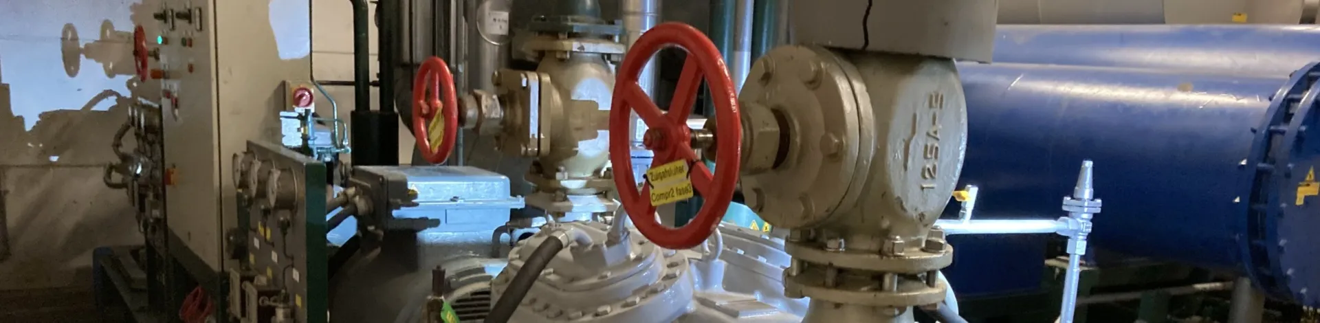 Leerdammer advies Delmeco