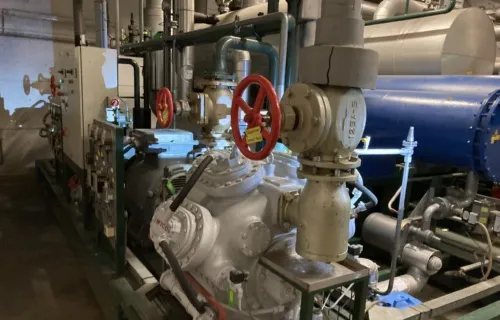 Leerdammer advies Delmeco